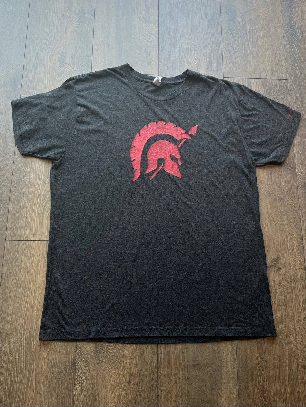 Next Level Apparel Spartan Graphic Tee